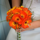 Букет невесты из гербер Букет невесты из гербер
