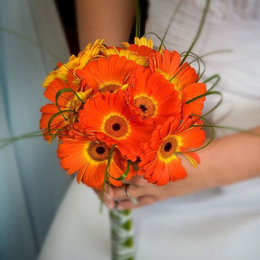 Букет невесты из гербер Букет невесты из гербер