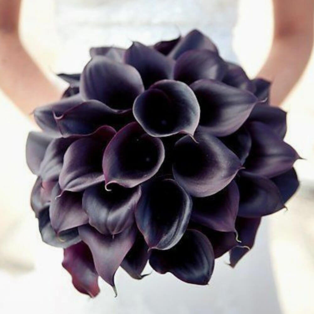 Букет невесты из черных калл - 29 шт. Букет невесты из черных калл - 29 шт.