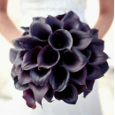 Букет невесты из черных калл - 29 шт. Букет невесты из черных калл - 29 шт.