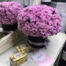 Фиолетовые хризантемы от 9 шт. Фиолетовые хризантемы от 9 шт.