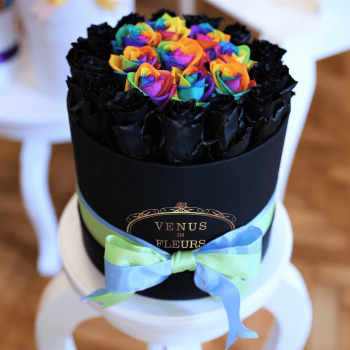 Радужные с окантовкой - 19 шт. Радужные с окантовкой - 19 шт.