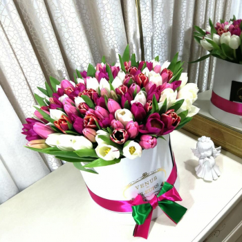 Микс из тюльпанов в коробке - 101 шт. Микс из тюльпанов в коробке - 101 шт.