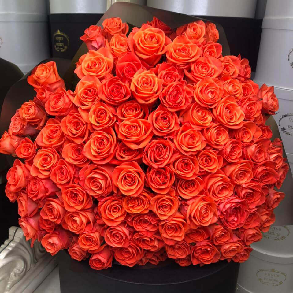 81 коралловая роза в букете 81 коралловая роза в букете
