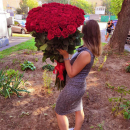 Красные метровые розы от 25 шт. Красные метровые розы от 25 шт.