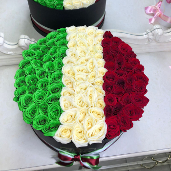 81 роза - флаг Италии 81 роза - флаг Италии