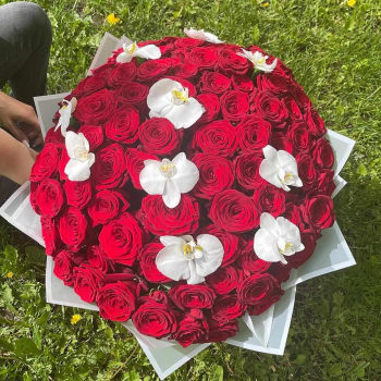 Красные розы с орхидеями - 81 шт.