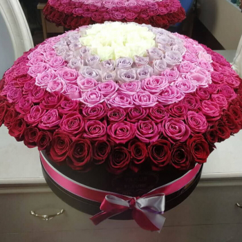 Радуга из роз - 151 шт.
