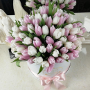 Бело-розовые тюльпаны в коробке - 101 шт. Бело-розовые тюльпаны в коробке - 101 шт.