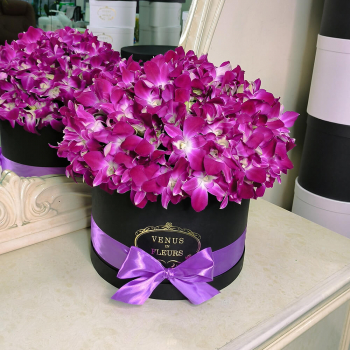 Розовые орхидеи в коробке от 29 шт.