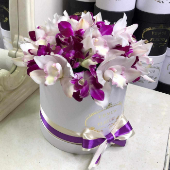 Бело-розовые орхидеи от 29 шт.