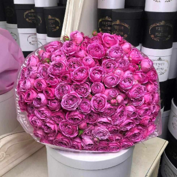 Букет пионовидных розовых роз - 41 шт.