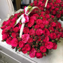 Красные пионовидные розы в корзине - 101 шт Красные пионовидные розы в корзине - 101 шт