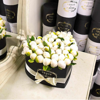 51 белый пион в коробке сердце