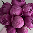 Темно-розовые пионы в коробке Темно-розовые пионы в коробке