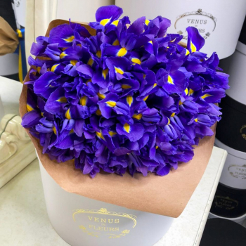 51 синий ирис в букете