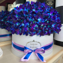 Синие орхидеи в коробке от 29 шт. Синие орхидеи в коробке от 29 шт.