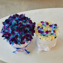 Синие орхидеи в коробке от 29 шт. Синие орхидеи в коробке от 29 шт.