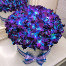 Синие орхидеи в коробке от 29 шт. Синие орхидеи в коробке от 29 шт.