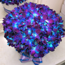 Синие орхидеи в коробке от 29 шт. Синие орхидеи в коробке от 29 шт.