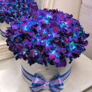 Синие орхидеи в коробке от 29 шт. Синие орхидеи в коробке от 29 шт.