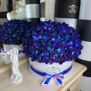 Синие орхидеи в коробке от 29 шт. Синие орхидеи в коробке от 29 шт.