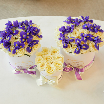 Подарочный набор - 71 шт. Подарочный набор - 71 шт.