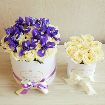 Подарочный набор - 41 шт.