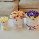 Подарочный набор - 101 шт. Подарочный набор - 101 шт.