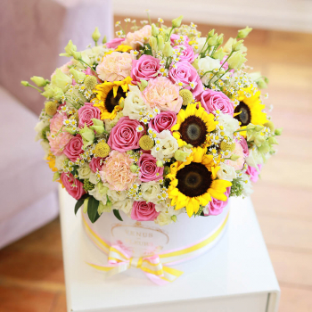 Краски солнца - 81 шт.