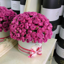 Пионовидные розы в коробке - 51 шт. Пионовидные розы в коробке - 51 шт.