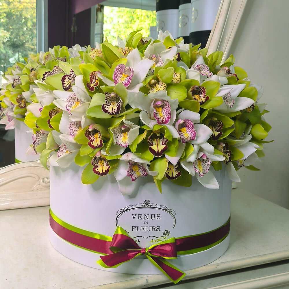 Большой букет из орхидей - 101 шт. Большой букет из орхидей - 101 шт.