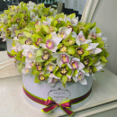 Большой букет из орхидей - 101 шт. Большой букет из орхидей - 101 шт.