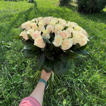 51 кремовая роза в букете