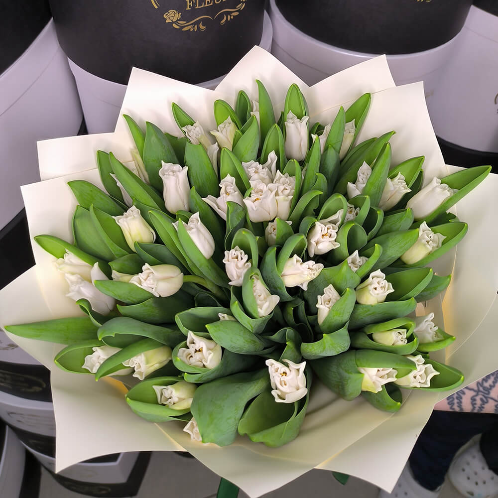 51 белый тюльпан в букете 51 белый тюльпан в букете