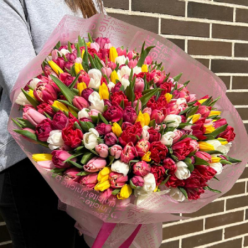 301 разноцветный тюльпан в букете