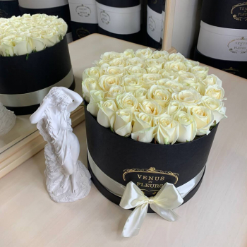 Белые розы в коробке от 9 шт. Белые розы в коробке от 9 шт.