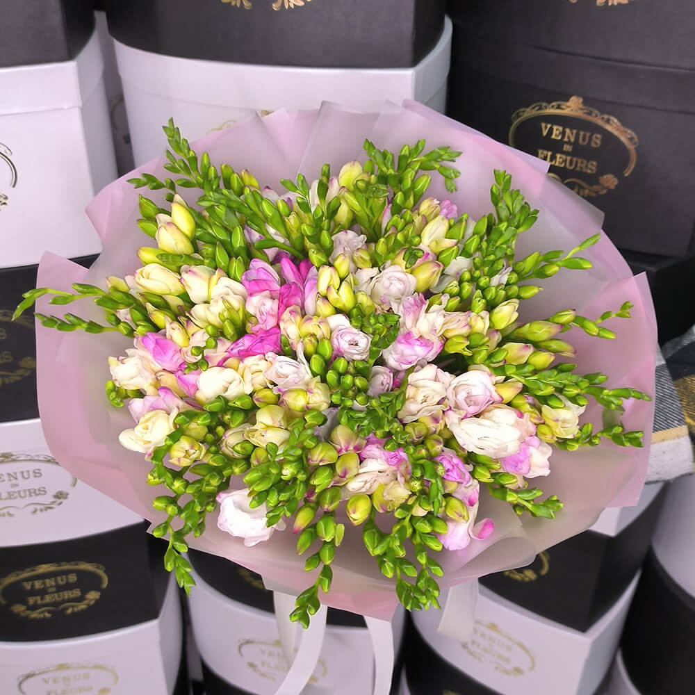 51 бело-розовая фрезия 51 бело-розовая фрезия