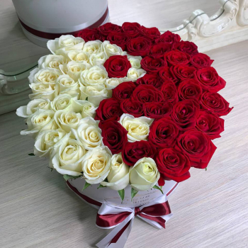 Красно-белые розы "Инь-Янь" - 51 шт