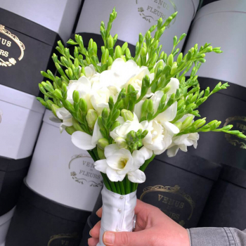 Букет невесты из белой фрезии - 51 шт. Букет невесты из белой фрезии - 51 шт.