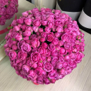 Розовые пионовидные розы - 101 шт. Розовые пионовидные розы - 101 шт.