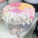 Розы и орхидеи в коробке от 29 шт. Розы и орхидеи в коробке от 29 шт.