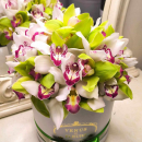 Бело-зеленый букет орхидей от 25 шт. Бело-зеленый букет орхидей от 25 шт.