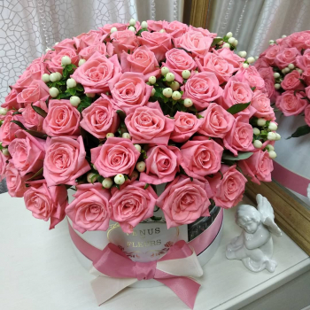 Розовые розы в коробке от 51 шт.