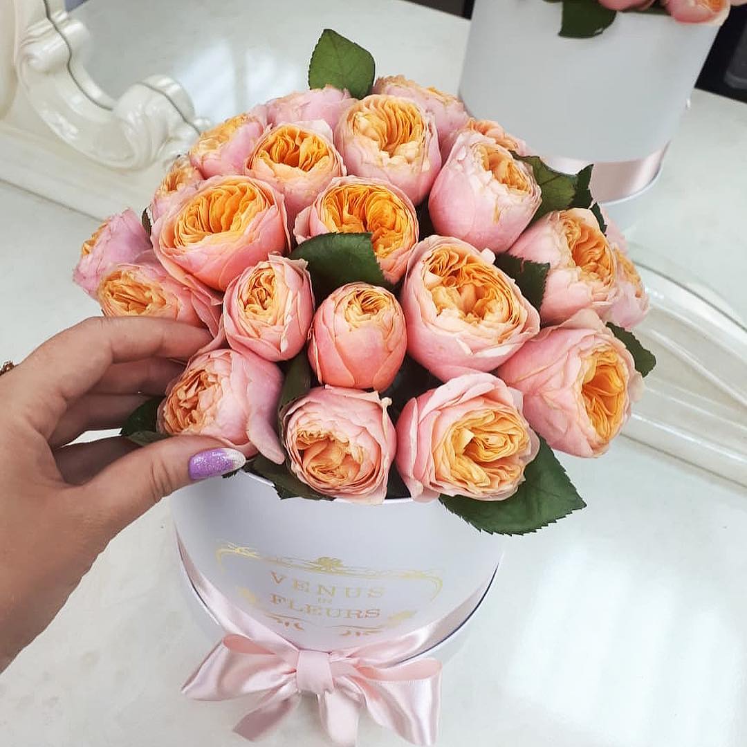 Пионовидные розы "Джульетта" от 19 шт. Пионовидные розы "Джульетта" от 19 шт.