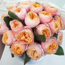 Пионовидные розы "Джульетта" от 19 шт. Пионовидные розы "Джульетта" от 19 шт.