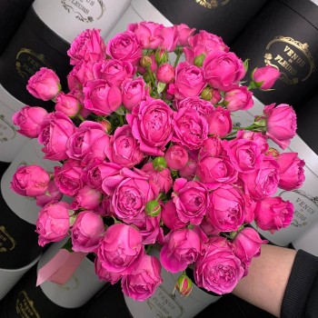 Пионовидные розовые розы - 15 шт.