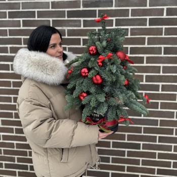 Новогодняя ёлка с красными игрушками - 60 см. Новогодняя ёлка с красными игрушками - 60 см.