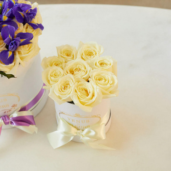 9 белых роз в коробке