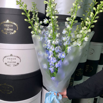 9 дельфиниумов в букете